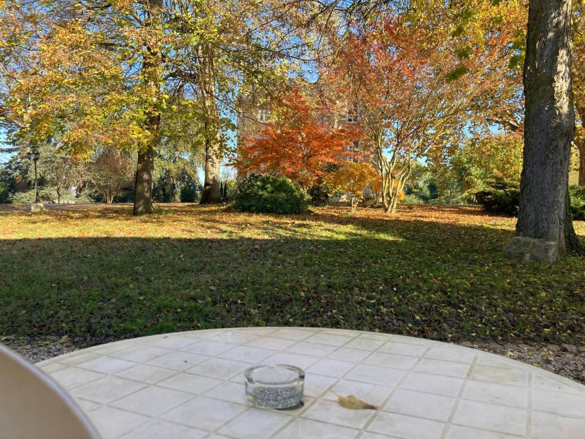 Orangerie Du Chateau Marith - Domaine Avec Piscine Clairac  Номер фото
