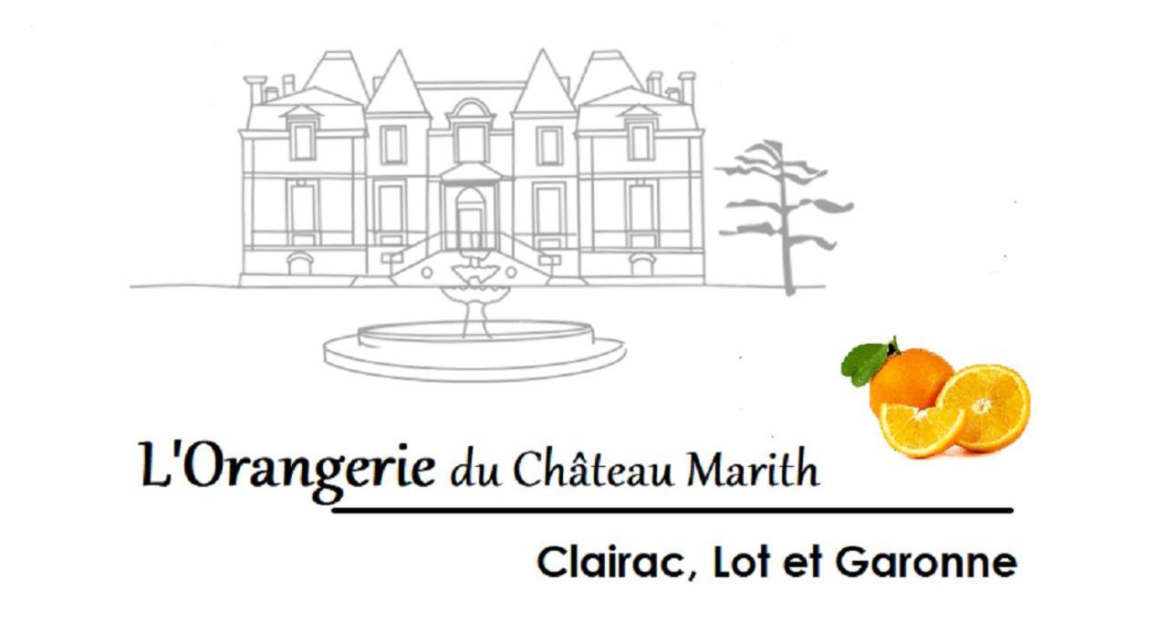 Orangerie Du Chateau Marith - Domaine Avec Piscine Clairac  Экстерьер фото