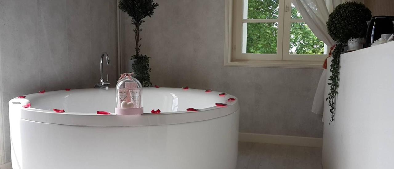 Orangerie Du Chateau Marith - Domaine Avec Piscine Clairac  Экстерьер фото